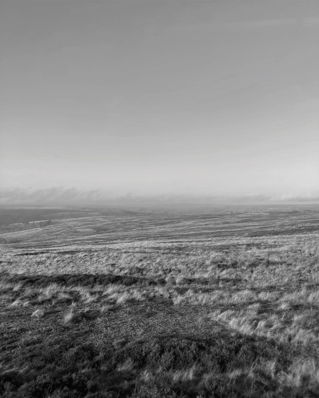 Fields of Necessity